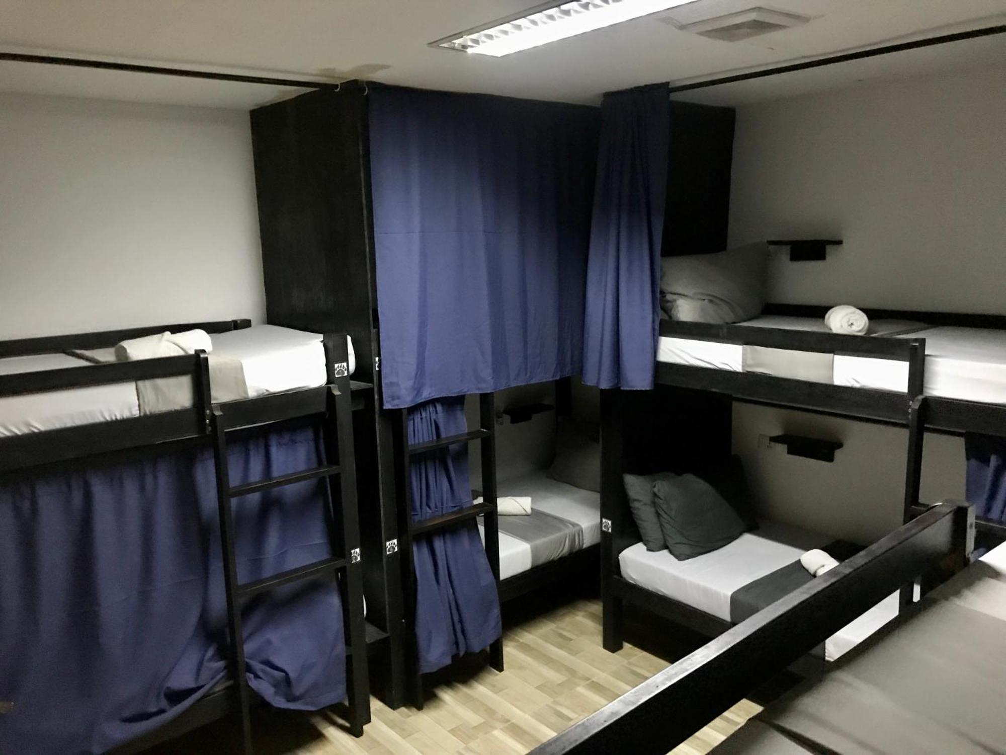 Crazy Bears Hostel Моалбоал Екстериор снимка