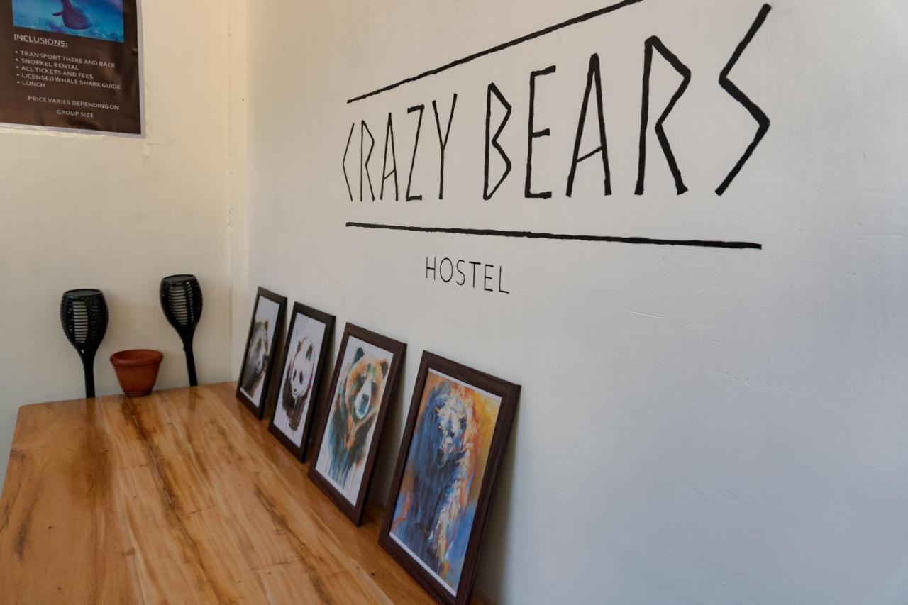 Crazy Bears Hostel Моалбоал Екстериор снимка