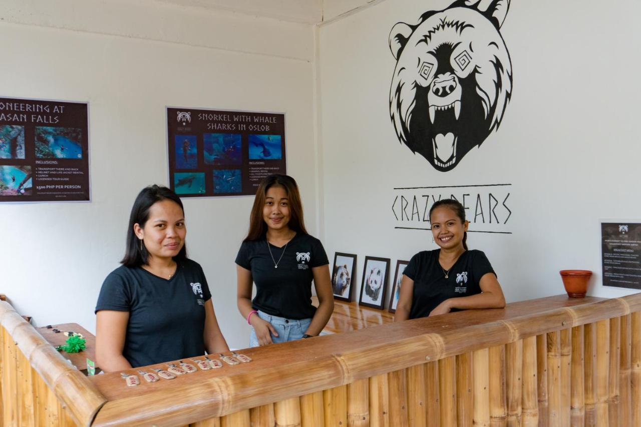 Crazy Bears Hostel Моалбоал Екстериор снимка